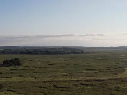 111 Acres, Montello, WI 53949 photo 5