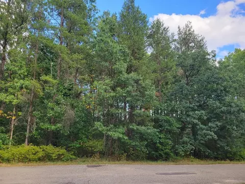 Lot 40 13th Lane, Friendship, WI 53934