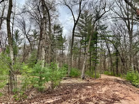 9 52 Acres Gem Dr, Wisconsin Dells, WI 53965