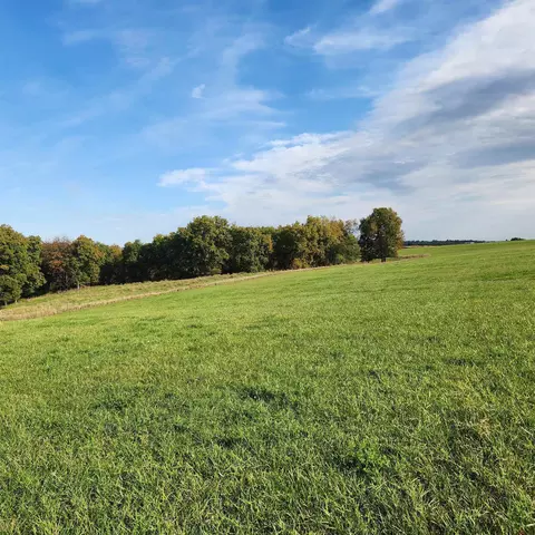 112 56- Ac Burr Oak Rd, Mineral Point, WI 53565
