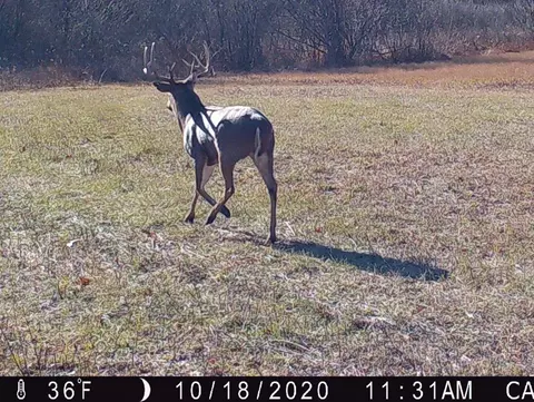 52 Acres 7th Ct, Westfield, WI 53964