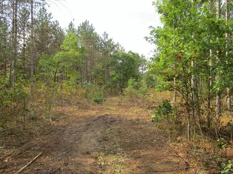 Lot 7 14th Drive, Adams, WI 53910