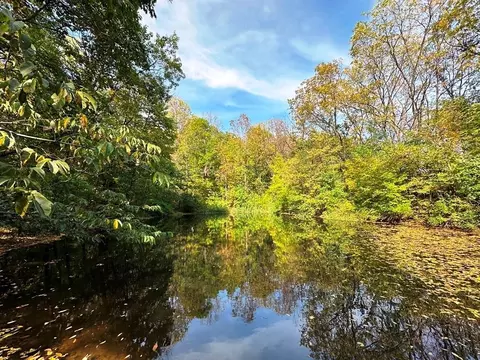 35 Acres Old Town Ln, Muscoda, WI 53573