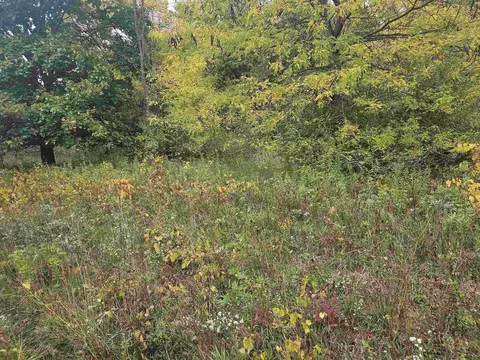 Lot 348 Cross Trails Drive, Wonewoc, WI 53968
