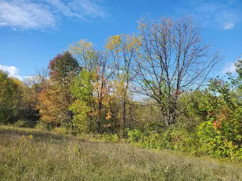 3 38 Acres Geesa Rd, De Soto, WI 54624