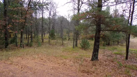 1352 Rapids Trl, Nekoosa, WI 54457