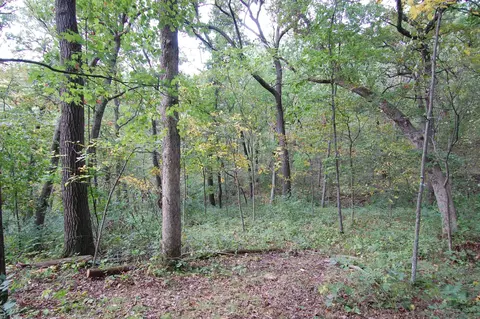 17 63 Acres Biglow Hill Rd, Avoca, WI 53506