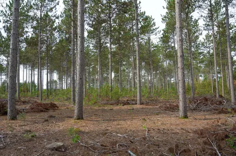 lot4 Bollig Ct, Nekoosa, WI 54457