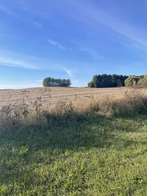 Tbd Borah Road, Fennimore, WI 53809
