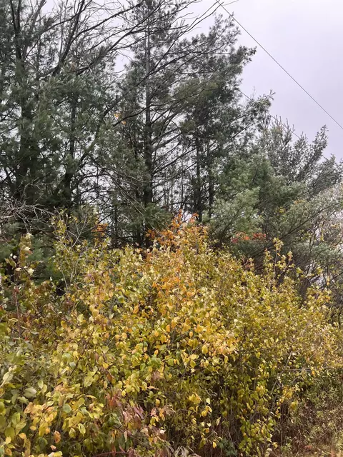 0 19a Shangrila Ln, Wautoma, WI 54982