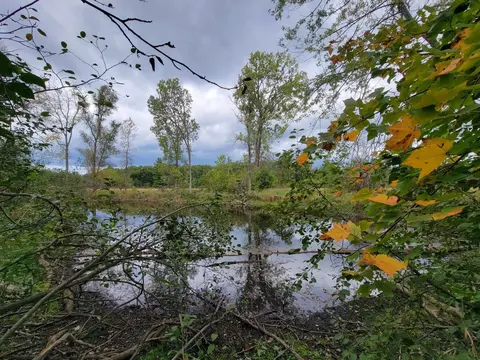 1330 Duck Creek Ct, Adams, WI 53910