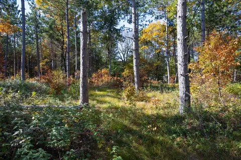 N10588 16th Avenue, Necedah, WI 54646