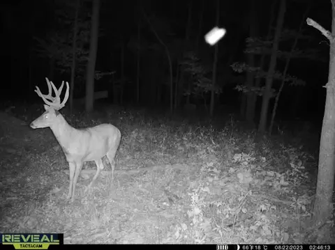 24 Ac County Rd E, Muscoda, WI 53573