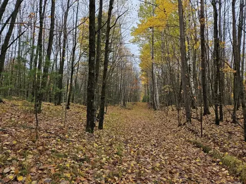 48 N Acres N Rifle Rd, Rhinelander, WI 54501