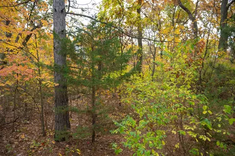 Lot 17 10th Lane, Grand Marsh, WI 53936
