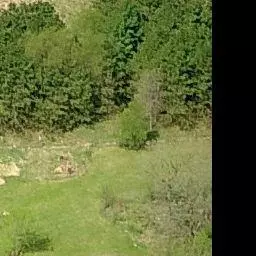 2 00ac Burke Rd, Madison, WI 53718