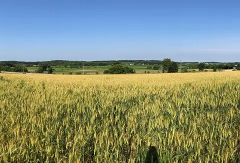 2 Wisconsin 73, Deerfield, WI 53531