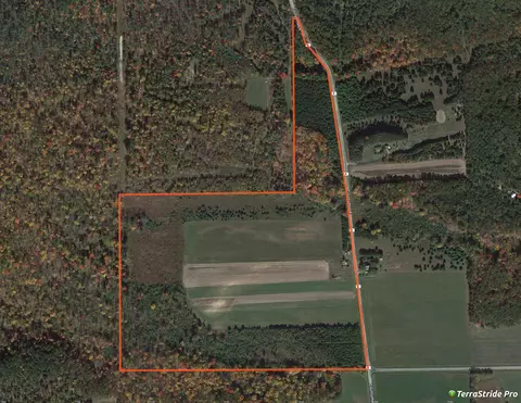 66 98 Acres County Rd E, Warrens, WI 54666