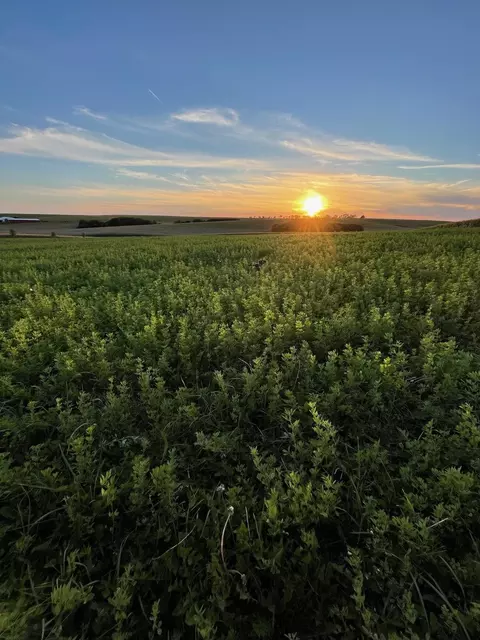 Lot 1 S Prairie Road, Mineral Point, WI 53565