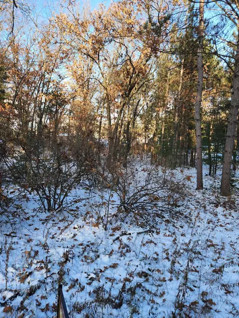 0 Acre Fur Ct, Wisconsin Dells, WI 53965