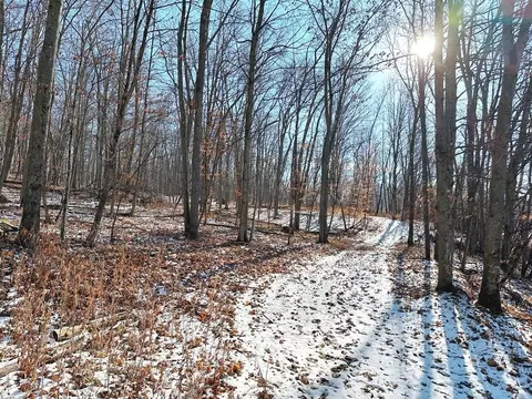 7 4 Acres Haney Ridge Rd, Gays Mills, WI 54631