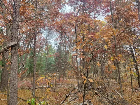 0 Bills Ln, Necedah, WI 54646