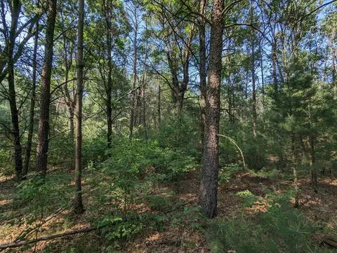 5 Ac 16th St, Necedah, WI 54646