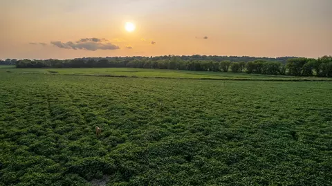 147 Ml Acres Hope Rd, Cottage Grove, WI 53527