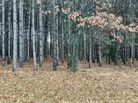 L51 Southview Drive, Necedah, WI 54646