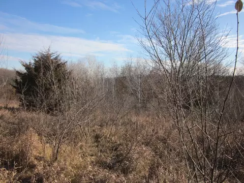 6 12 Acres Scenic Trail Rd, Muscoda, WI 53573