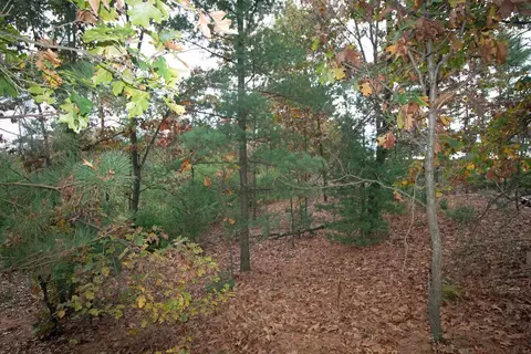 L6 White Pine, Spring Green, WI 53588