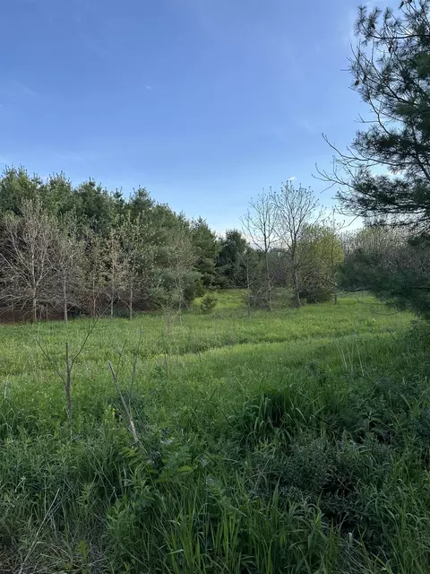 3 20 Acres Buncombe Rd, Benton, WI 53803