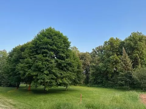 99 Ac Cowgill Rd, Rio, WI 53960