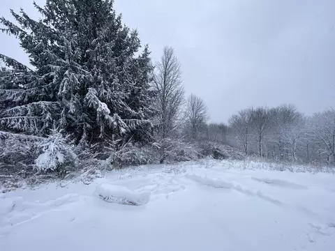 L374 Icicle Court, La Valle, WI 53941