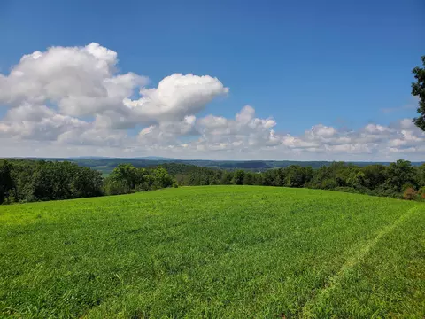 13 88 Ac Blackberry Rd, Black Earth, WI 53515