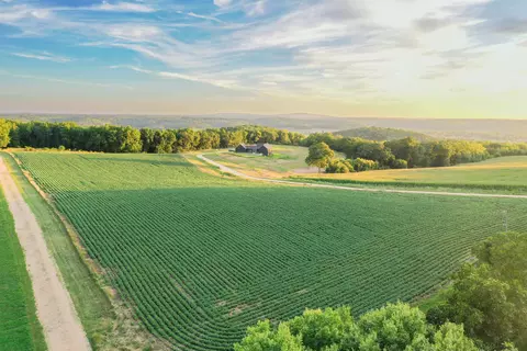 13 54 Acres Blackberry Rd, Black Earth, WI 53515