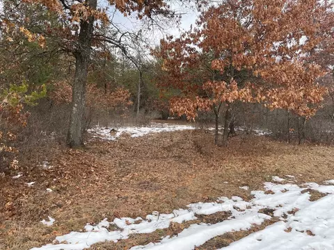 L36 Halls Point Road, Necedah, WI 54646