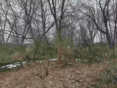 6 Acres Windy Gap Rd, Lyndon Station, WI 53944