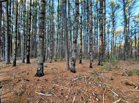 Lot 73 13th Avenue, Wisconsin Dells, WI 53965