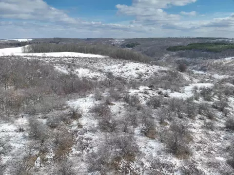 49 Ac Gault Valley Rd, Hillsboro, WI 54634