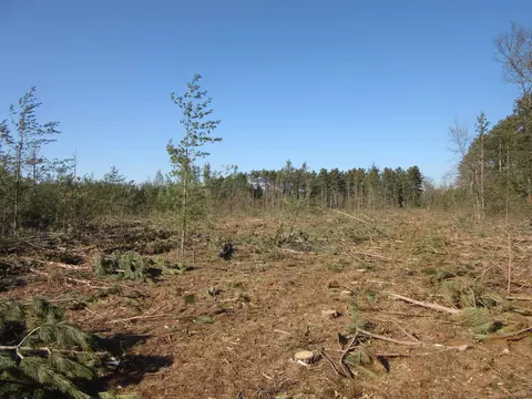 5 Ac Evergreen Ct, Adams, WI 53910