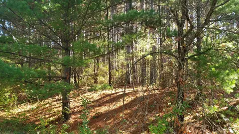 Lot 71 Fur Court, Wisconsin Dells, WI 53965