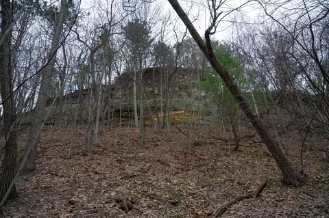 Lot 1 Russell Road, New Lisbon, WI 53950