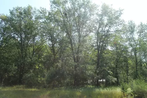 lot53 Tomahawk Trl, Montello, WI 53949
