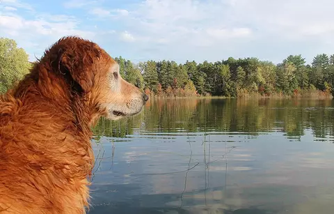 Lot I Deer Run, Montello, WI 53949