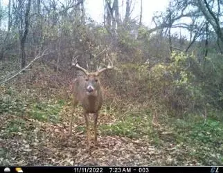 Dobbs Drive, Soldiers Grove, WI 54655
