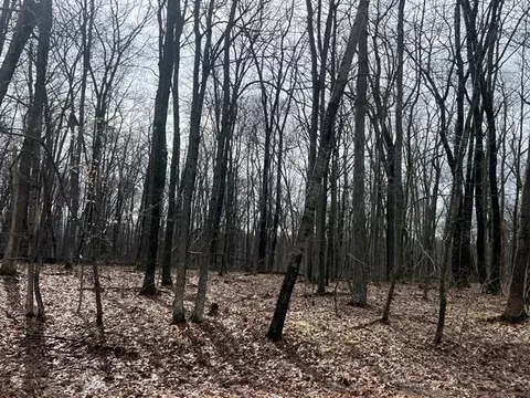 L1032 Blue Ridge Drive, La Valle, WI 53941