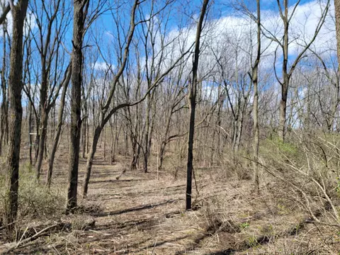 6 2 Ac Stateline Mt Hope, Brodhead, WI 53520