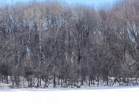 5 50ac County Road Ff, Coloma, WI 54930