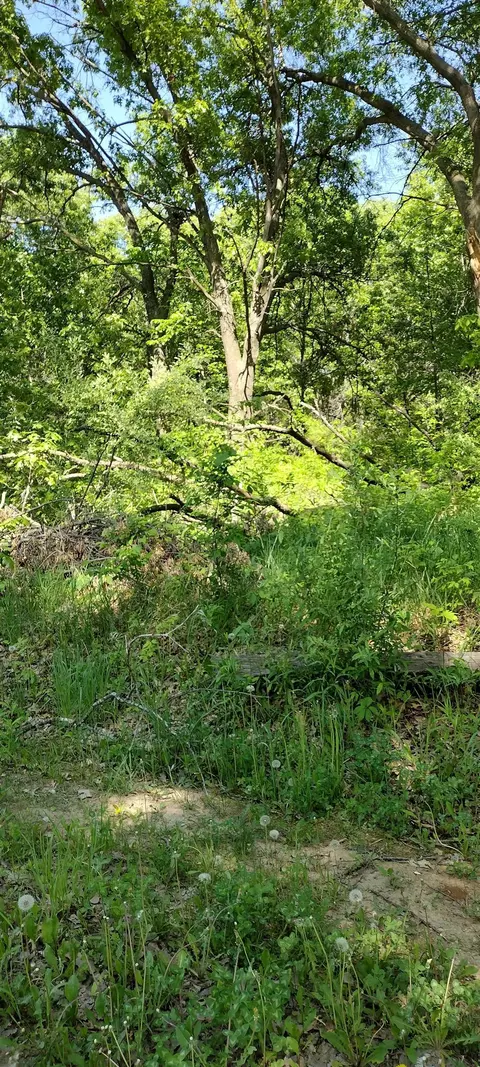 35 90ac Kassner Rd, Wisconsin Dells, WI 53965